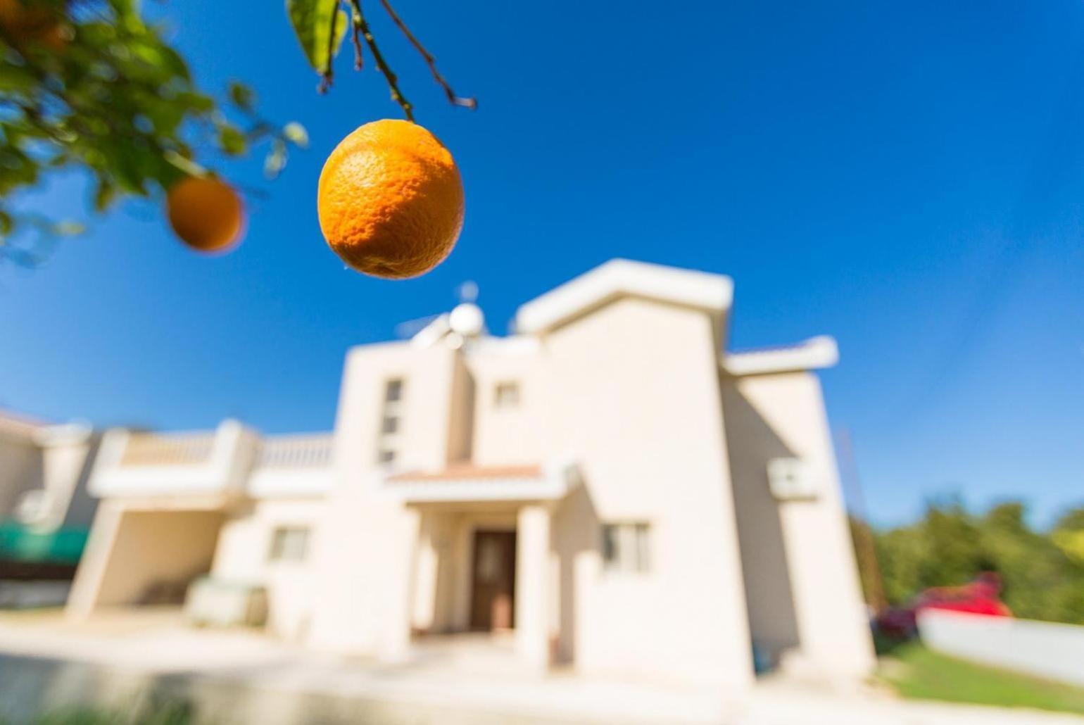 Villa Clementina Kato Yialia Экстерьер фото